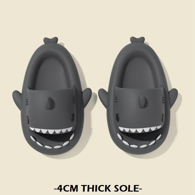 Shark